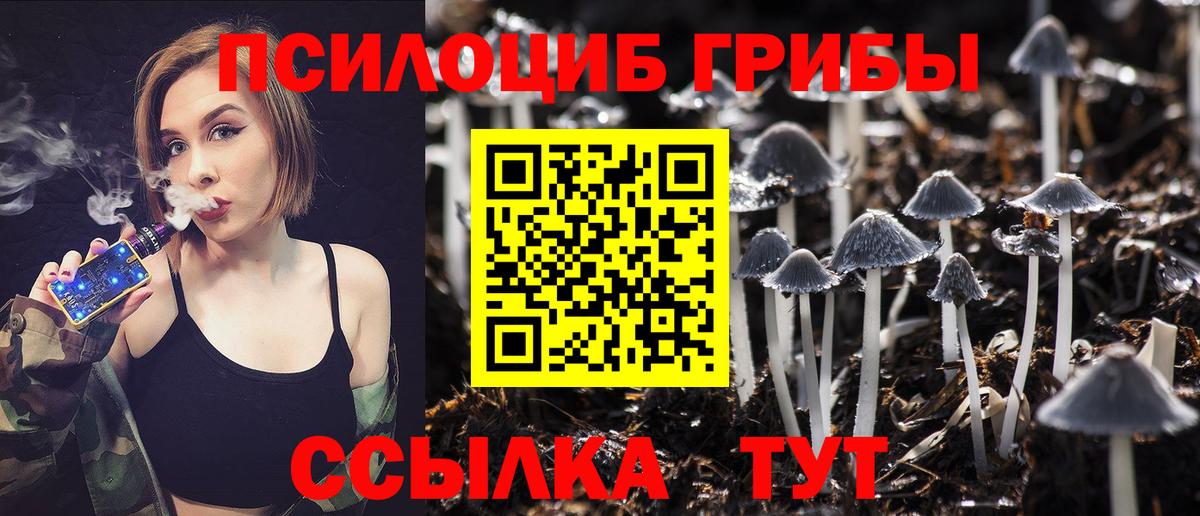 Железноводск  Псилоцибиновые грибы GOLDEN TEACHER  Вход с VPN 